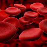 hemofili nedir